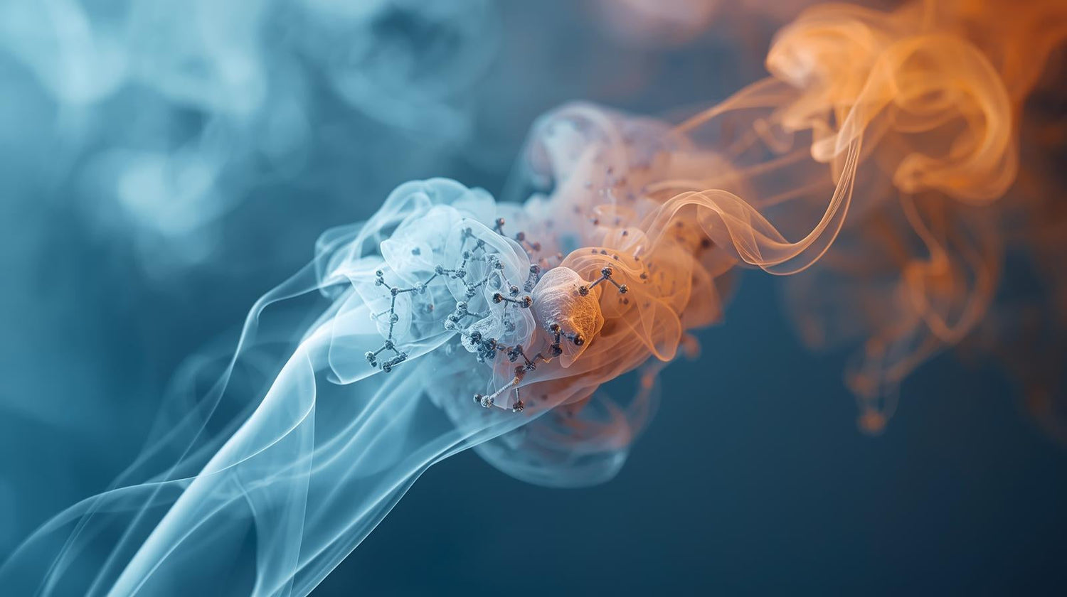 Bad Air Filtration with P2S